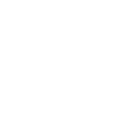 A1 WHOLESALE